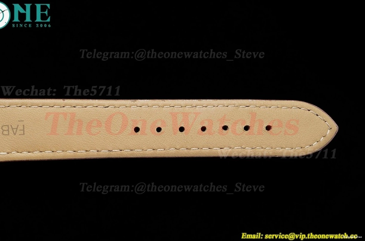 Dumont Dial Silver Brown Santos Quartz LE RG AF Dia 0313